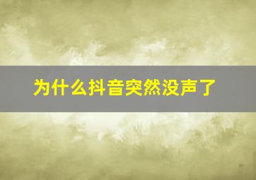 为什么抖音突然没声了