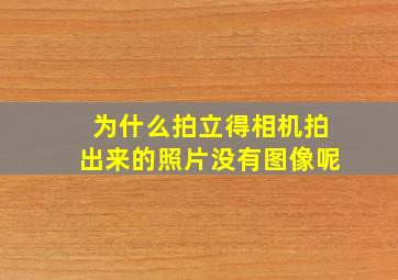 为什么拍立得相机拍出来的照片没有图像呢