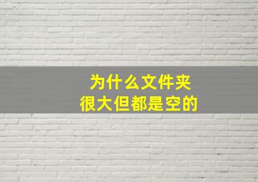 为什么文件夹很大但都是空的