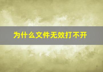 为什么文件无效打不开