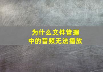 为什么文件管理中的音频无法播放