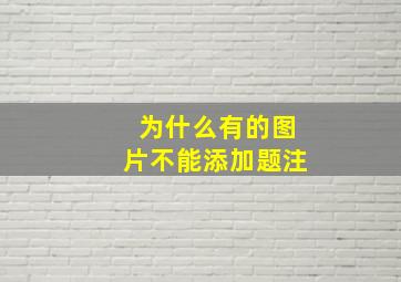 为什么有的图片不能添加题注