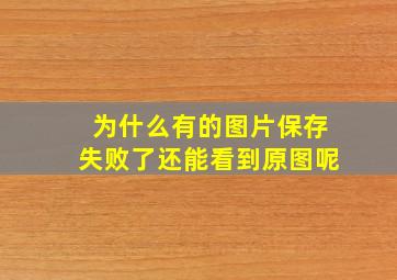 为什么有的图片保存失败了还能看到原图呢