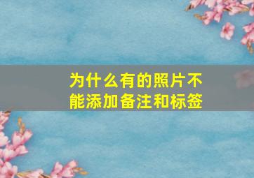 为什么有的照片不能添加备注和标签