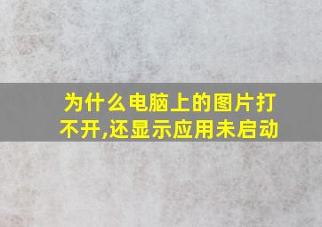 为什么电脑上的图片打不开,还显示应用未启动