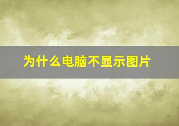 为什么电脑不显示图片