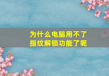 为什么电脑用不了指纹解锁功能了呢