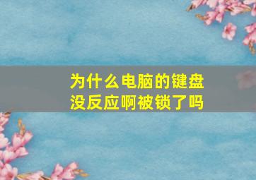 为什么电脑的键盘没反应啊被锁了吗