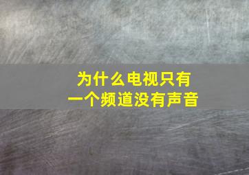 为什么电视只有一个频道没有声音