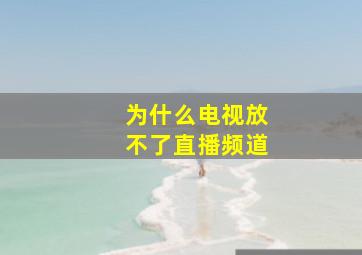 为什么电视放不了直播频道