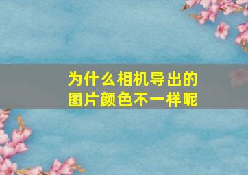 为什么相机导出的图片颜色不一样呢