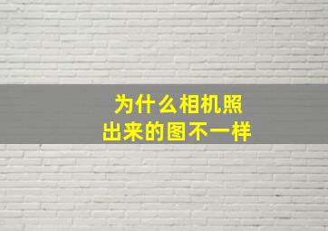 为什么相机照出来的图不一样