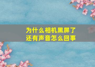 为什么相机黑屏了还有声音怎么回事