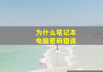 为什么笔记本电脑密码错误