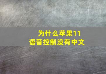 为什么苹果11语音控制没有中文