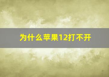 为什么苹果12打不开