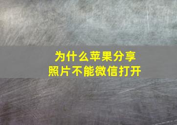 为什么苹果分享照片不能微信打开