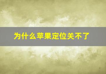 为什么苹果定位关不了