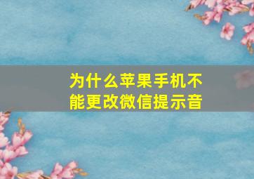 为什么苹果手机不能更改微信提示音