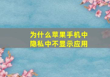 为什么苹果手机中隐私中不显示应用