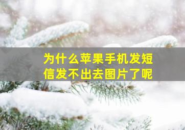 为什么苹果手机发短信发不出去图片了呢