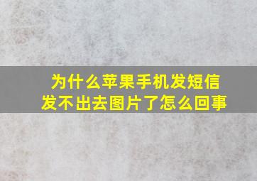 为什么苹果手机发短信发不出去图片了怎么回事