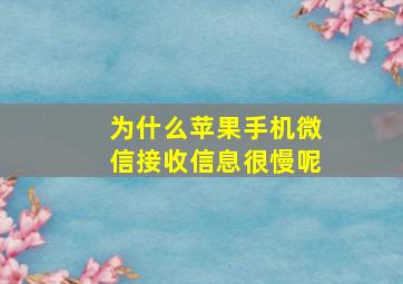 为什么苹果手机微信接收信息很慢呢