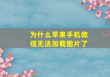 为什么苹果手机微信无法加载图片了