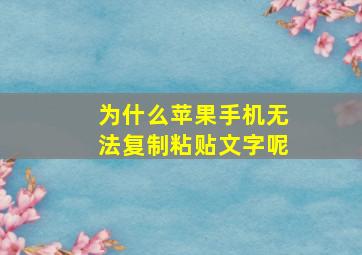 为什么苹果手机无法复制粘贴文字呢