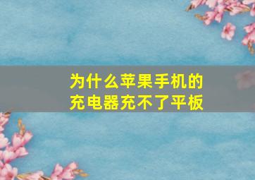 为什么苹果手机的充电器充不了平板