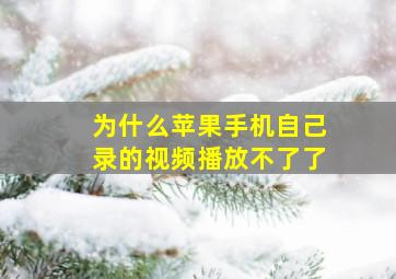 为什么苹果手机自己录的视频播放不了了