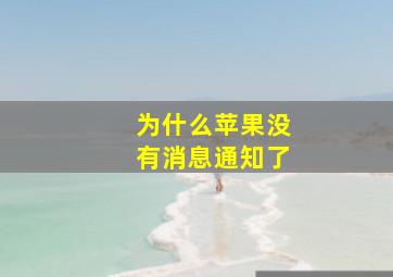 为什么苹果没有消息通知了