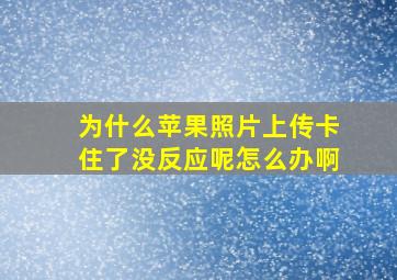 为什么苹果照片上传卡住了没反应呢怎么办啊