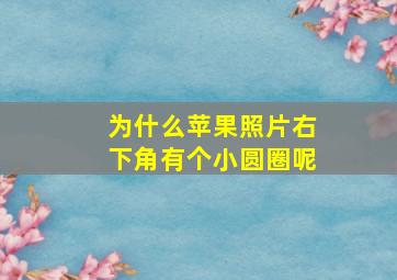 为什么苹果照片右下角有个小圆圈呢