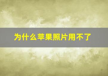 为什么苹果照片用不了