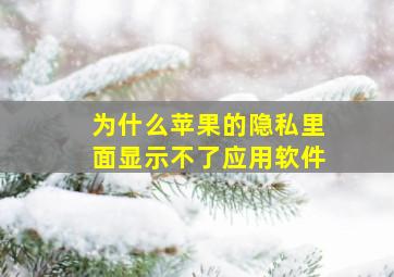 为什么苹果的隐私里面显示不了应用软件