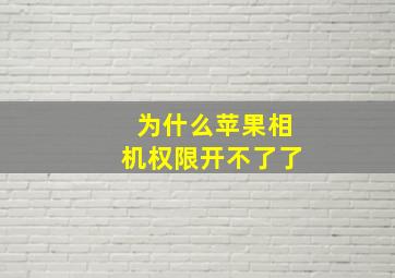 为什么苹果相机权限开不了了