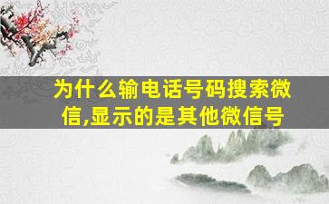 为什么输电话号码搜索微信,显示的是其他微信号