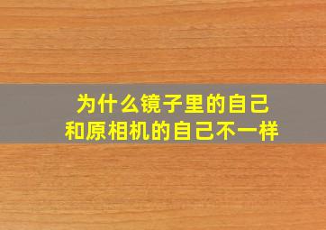 为什么镜子里的自己和原相机的自己不一样