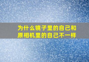 为什么镜子里的自己和原相机里的自己不一样