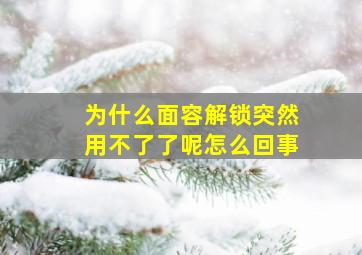 为什么面容解锁突然用不了了呢怎么回事