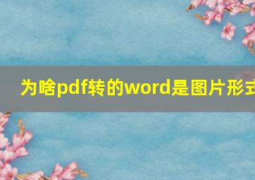 为啥pdf转的word是图片形式