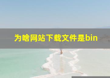 为啥网站下载文件是bin