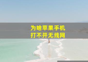 为啥苹果手机打不开无线网