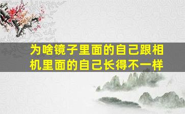 为啥镜子里面的自己跟相机里面的自己长得不一样