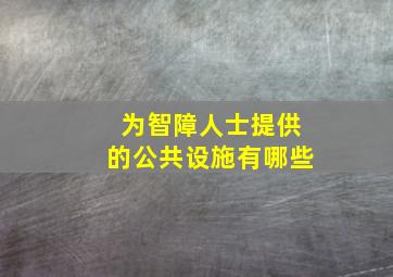 为智障人士提供的公共设施有哪些