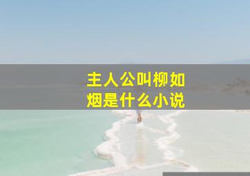 主人公叫柳如烟是什么小说