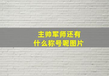 主帅军师还有什么称号呢图片