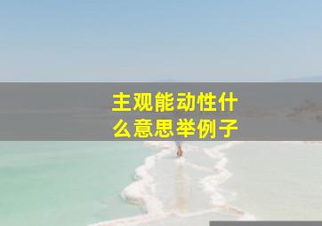 主观能动性什么意思举例子