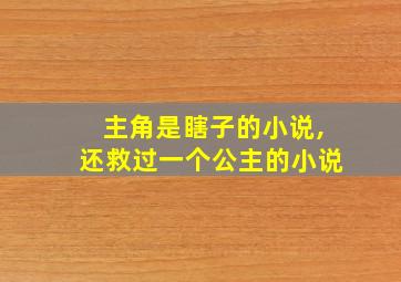 主角是瞎子的小说,还救过一个公主的小说